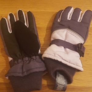 Snow gloves/gloves
